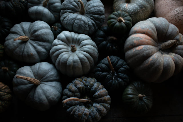 autumn squash