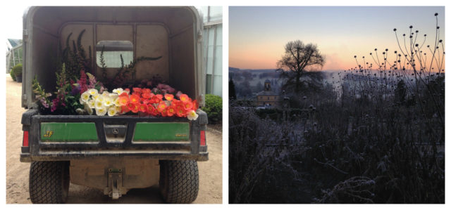 Flower truck at Chatsworth 