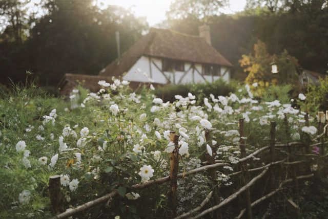 Milli Proust's cottage and comsos