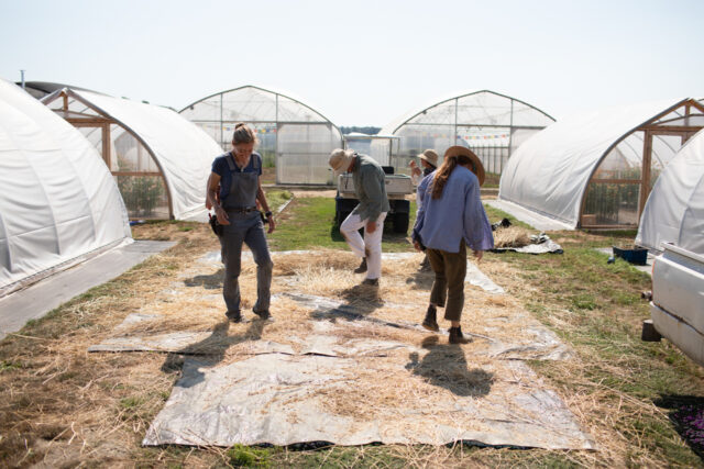 Erin Benzakein and other members of Team Floret threshing seeds