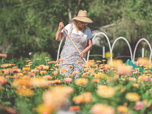 Tiffany Jones working in the field at Blomma Flower Farm