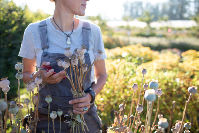 Erin Benzakein wearing grey Dovetail Workwear overalls