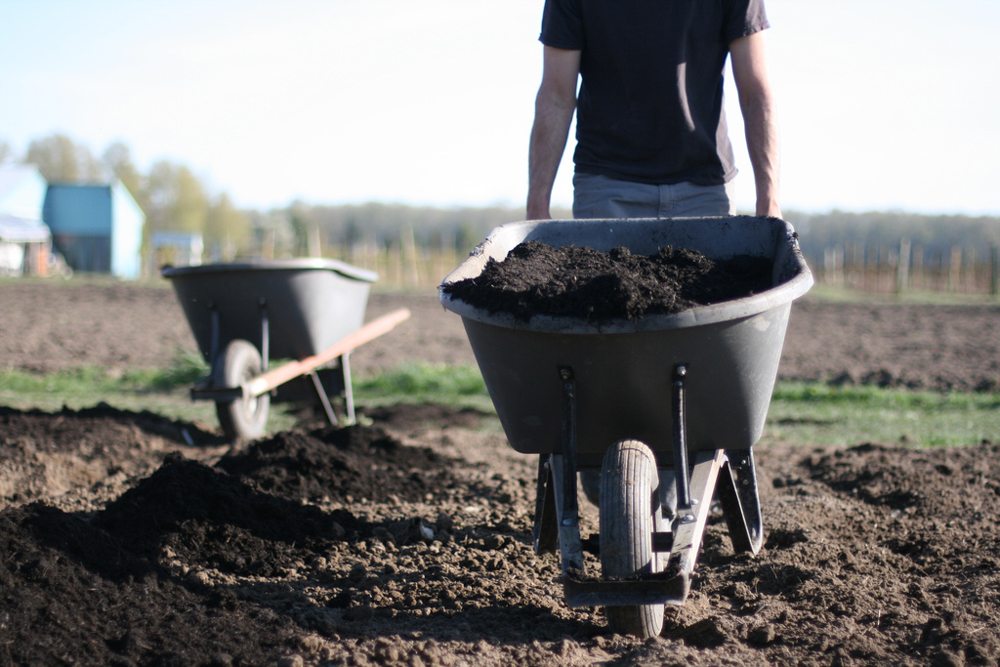 Floret soil and bed preparation