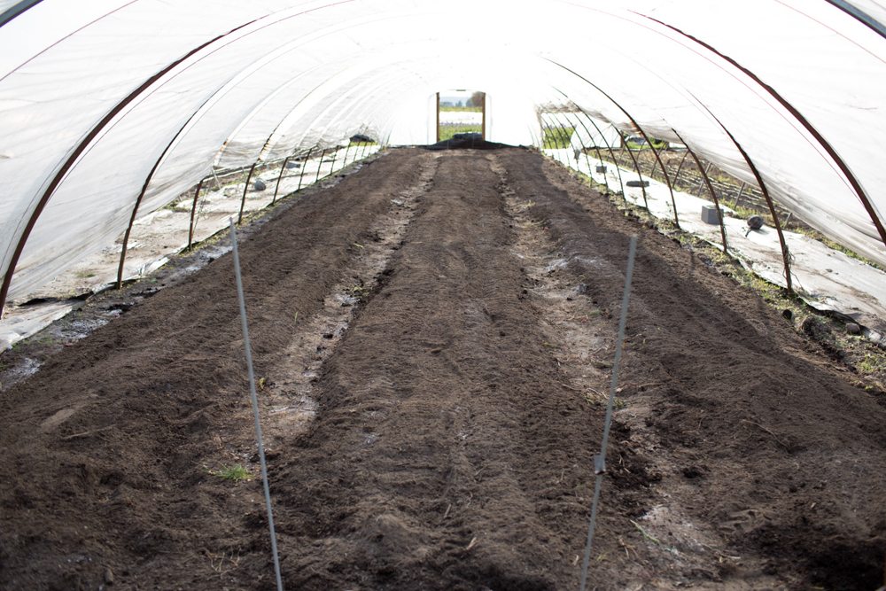 Floret hoop house flower bed soil preparation 