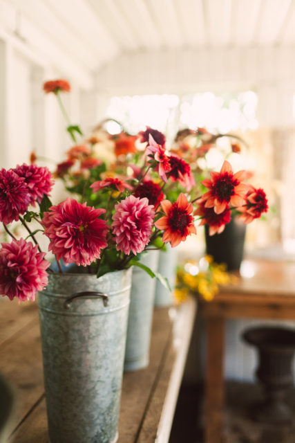 Buckets of flowers in the Floret studio