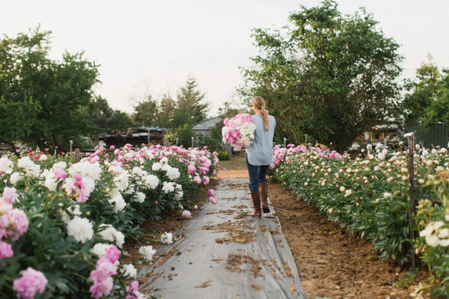 floret_spring1228peonies_atmospheric_shots_20