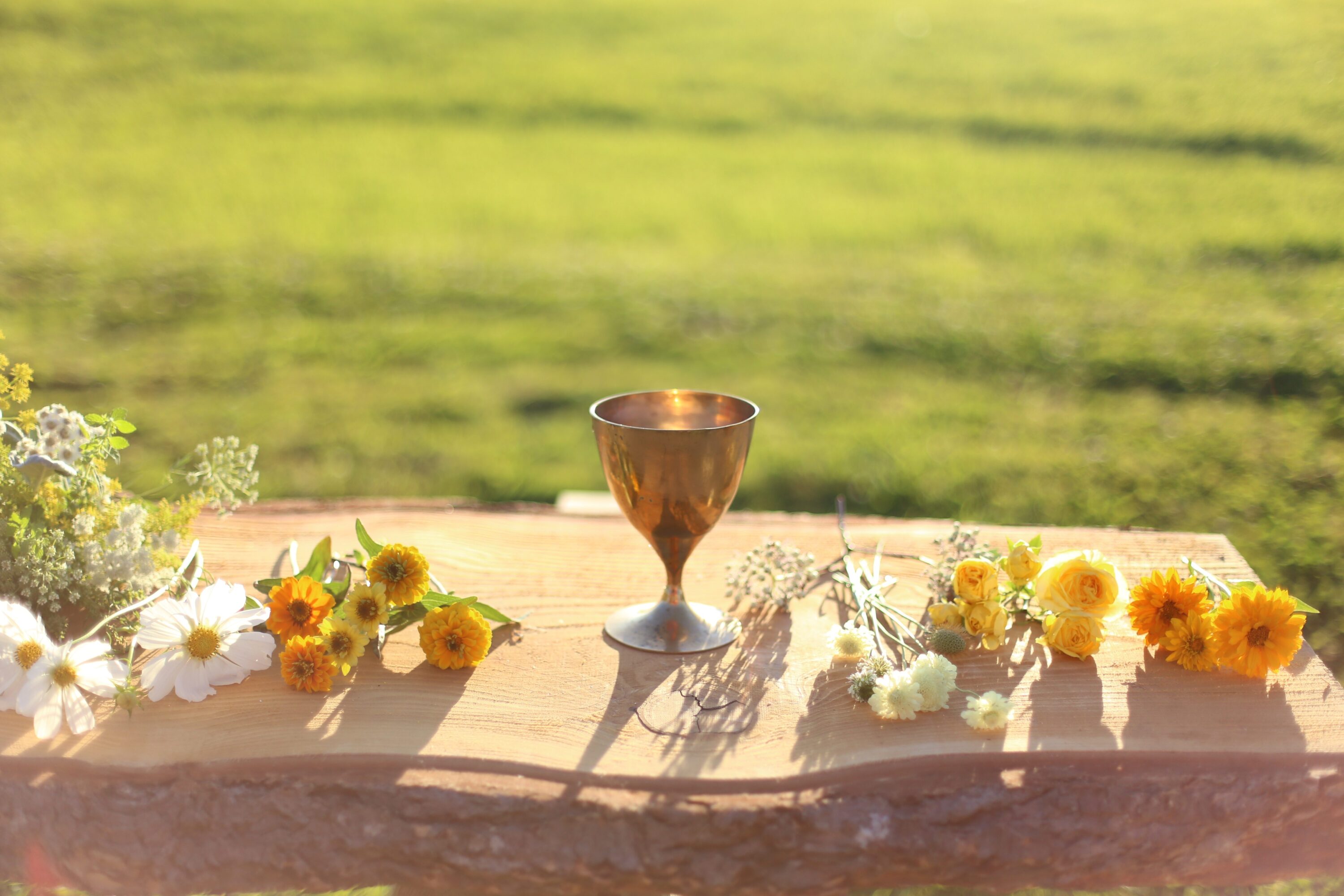 Components of a flower arrangement on a table