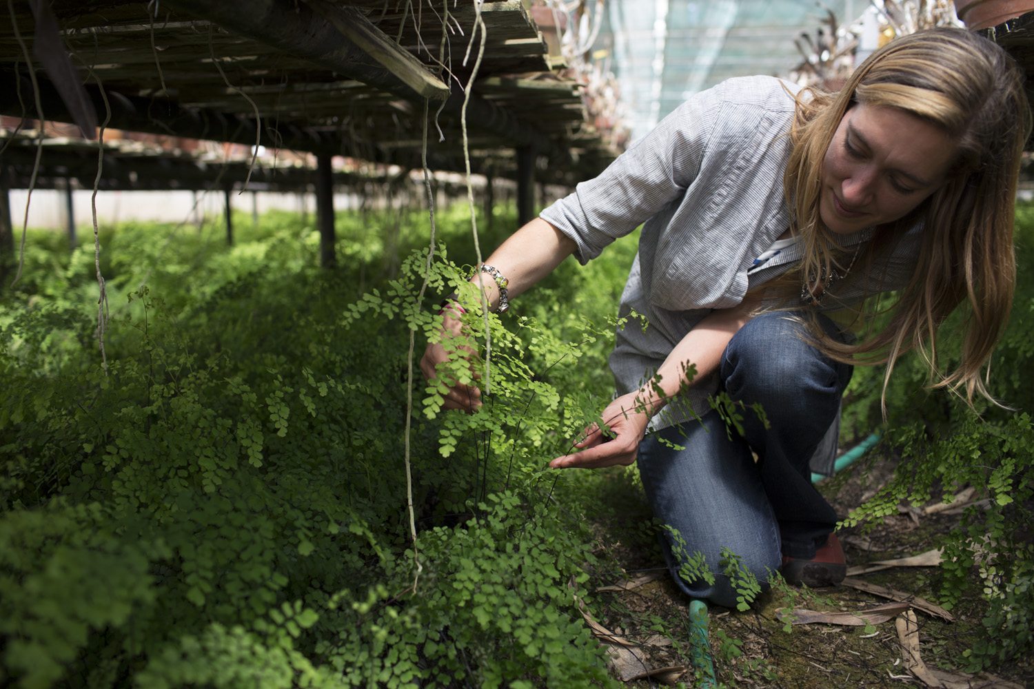 Erin Benzakein with maidenhair fern