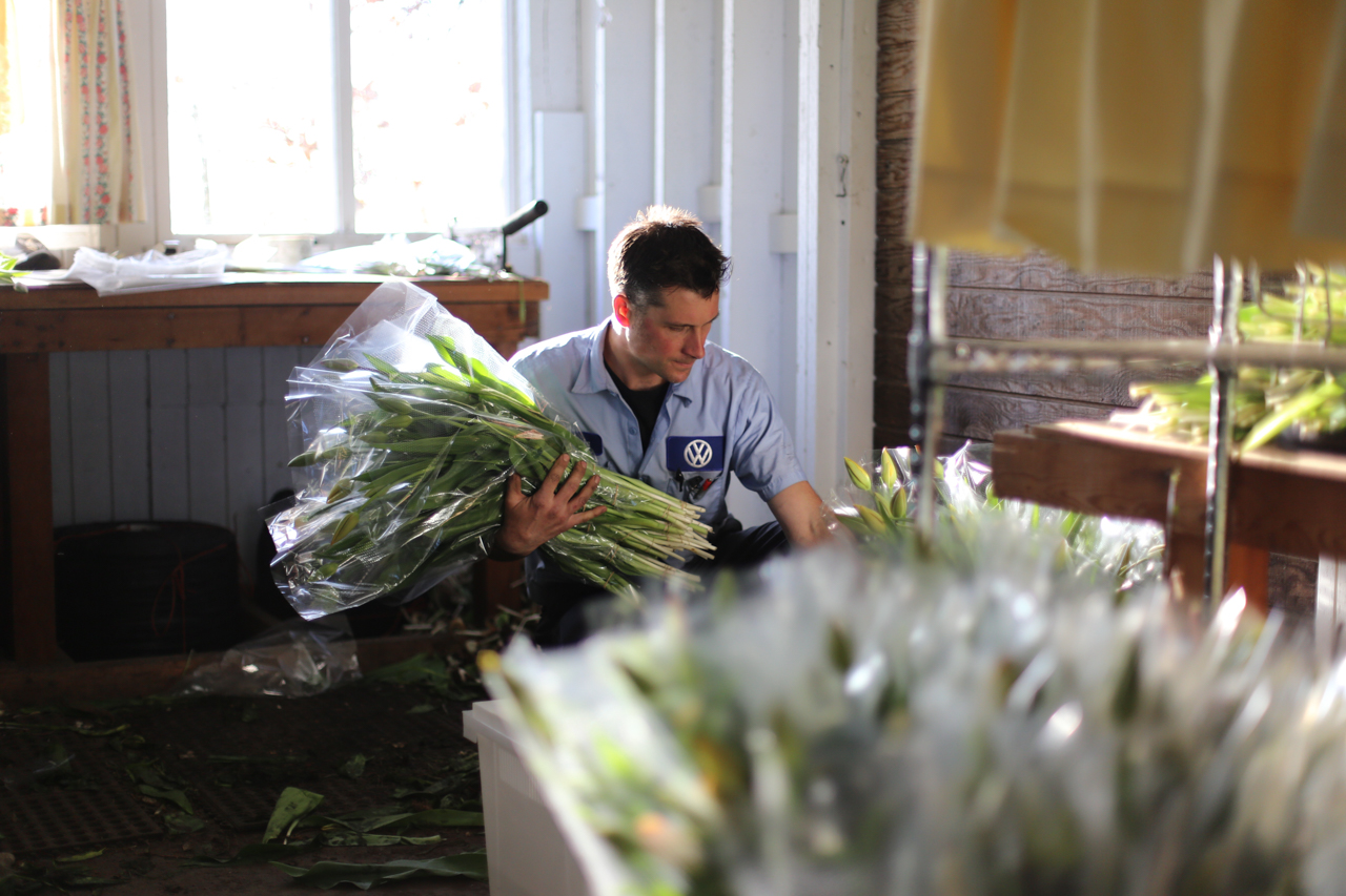 Chris Benzakein packaging bouquets of flowers