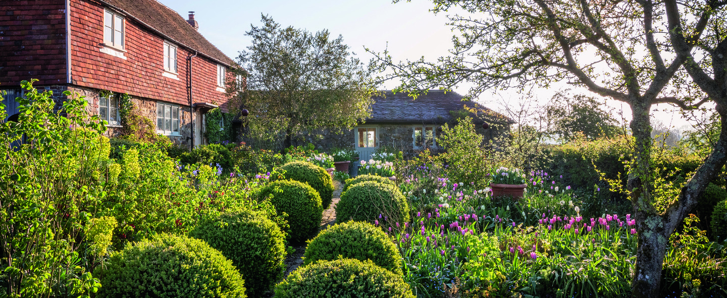 The farmhouse garden with Tulipa 'Ballade Silver', 'Lasergame', 'Exotic Emperor', 'Mistress Mystic' with pots of 'Weber's Parrot', 'Green Wave', 'White Touch' and Leucojum aestivum - Summer snowflake