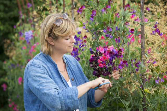 Sarah Raven with sweet peas